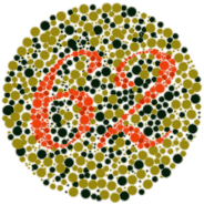 colorblindness-normal-184x185