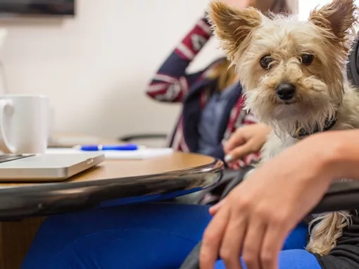 Traditional Marketing Versus Digital Marketing