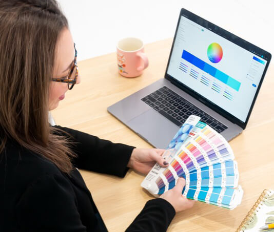 Brand design materials and color swatches